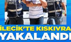 BİLECİK'TE KISKIVRAK YAKALANDI