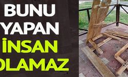 BUNU YAPAN İNSAN OLAMAZ