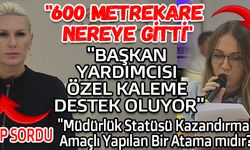 MHP'DEN BAŞKAN SUBAŞI'YA SORULAR