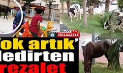 YOK ARTIK DEDİRTEN REZALET