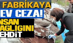 YOL KENARINA TEHLİKELİ ATIK DÖKEN FİRMAYA 12 MİLYON LİRA, ŞİRKET YETKİLİSİNE İSE 5 YIL HAPİS CEZASI