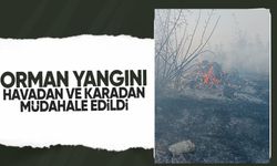 ORMAN YANGINI HAVADAN VE KARADAN MÜDAHALE EDİLDİ