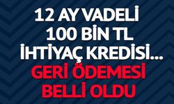 12 AY VADELİ 100 BİN TL İHTİYAÇ KREDİSİ