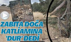 ZABITA DOĞA KATLİAMINA 'DUR' DEDİ