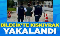 BİLECİK'TE KISKIVRAK YAKALANDI!