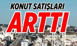 KONUT SATIŞLARI ARTTI!