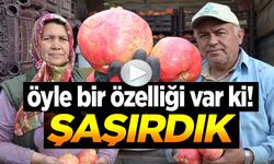 ÖYLE BİR ÖZELLİĞİ VAR Kİ! ŞAŞIRDIK