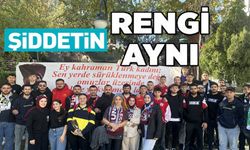 ŞİDDETİN RENGİ AYNI