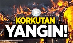 KORKUTAN YANGIN!