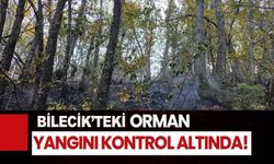 BİLECİK'TE ORMAN YANGINI KONTROL ALTINA ALINDI