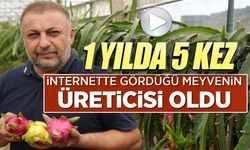 İNTERNETTE GÖRDÜĞÜ MEYVENİN ÜRETİCİSİ OLDU