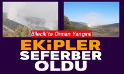 BİLECİK'TE ORMAN YANGINI