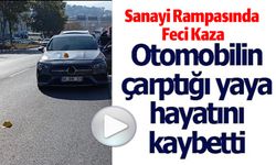 OTOMOBİLİN ÇARPTIĞI YAŞLI KADIN HAYATINI KAYBETTİ