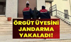 ÖRGÜT ÜYESİNİ JANDARMA YAKALADI