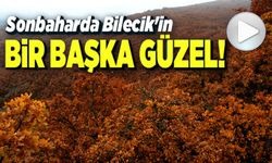 BİLECİK'TE SONBAHAR MANZARALARINI GÖRENLER HAYRAN KALIYOR