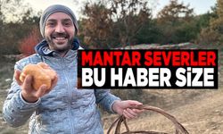 BİLECİK'TE MANTAR SEZONU GEÇ AÇILDI