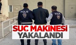 SUÇ MAKİNESİ YAKALANDI!