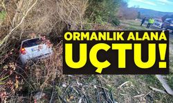 ORMANLIK ALANA UÇAN OTOMOBİL SÜRÜCÜSÜ YARALANDI