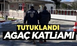 BİLECİK'TE AĞAÇ KESME SUÇUNDAN ARANAN ŞAHIS TUTUKLANDI