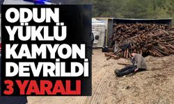 ODUN YÜKLÜ KAMYON DEVRİLDİ: 3 YARALI!