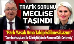 BİLECİK'TE TRAFİK SORUNU MECLİSE TAŞINDI