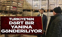 TÜRKİYE'NİN DÖRT BİR YANINA GÖNDERİLİYOR