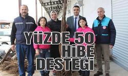 ÇİFTÇİLERE YÜZDE 50 DESTEKLİ EVİZ VE BADEM FİDANI