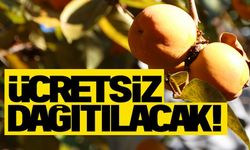 BİLECİKLİ VATANDAŞLARA ÜCRETSİZ DAĞITILACAK