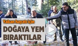 YABAN HAYATI İÇİN DOĞAYA YEM BIRAKTILAR