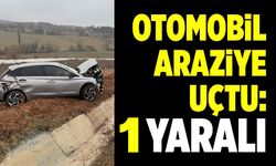 OTOMOBİL ARAZİYE UÇTU: 1 YARALI