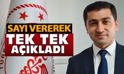 BİLECİK'TE 3 MİLYON 16 BİN 522 BAŞVURU YAPILDI