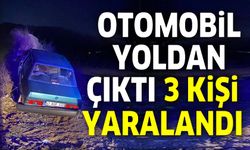 OTOMOBİL KUM YIĞINTISINA ÇARPTI: 3 KİŞİ YARALI