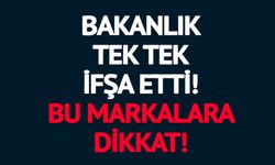 BAKANLIK 4 KAŞAR, 2 BEYAZ PEYNİR VE 1 PİDE MARKASINI İFŞA ETTİ