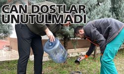 CAN DOSTLARI İÇİN MAMA VE SU KAPLARI YERLEŞTİRİLDİ