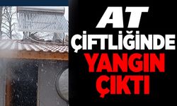AT ÇİFTLİĞİNDE YANGIN ÇIKTI