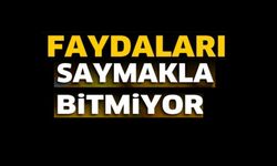 SARIMSAĞIN FAYDALARI SAY SAY BİTMİYOR