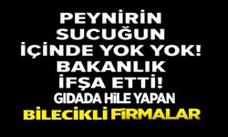 ARALARINDA BİLECİK'TE DE FİRMALAR VAR, BAKANLIK ÇOK SAYIDA PEYNİR VE SUCUK MARKASINI İFŞA ETTİ