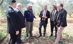 TARIMSAL ÜRETİMİN VERİMLİLİĞİ İÇİN BİLGİLENDİRME TOPLANTISI