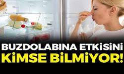 KÖTÜ KOKUYU VAKUM GİBİ ÇEKİYOR, BAKTERİLERİN KÖKÜNÜ KAZIYOR