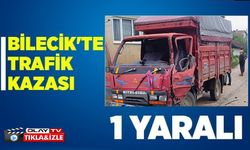 BİLECİK'TE TRAFİK KAZASI 1 YARALI