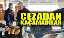 CEZADAN KAÇAMADILAR
