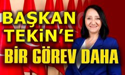 BAŞKAN TEKİN'E BİR GÖREV DAHA