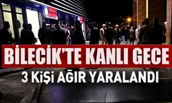 BİLECİK'TE KANLI GECE 3 KİŞİ AĞIR YARALANDI