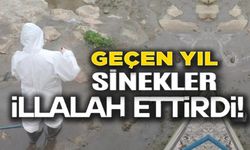 YAZ MEVSİMİ ÖNCESİ SAĞLIKLI ÇEVRE