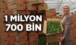 SON ÜÇ YILDA 1 MİLYON 700 BİN FİDE DAĞITILDI