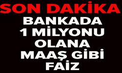 BANKADA 1 MİLYONU OLANA MAAŞ GİBİ FAİZ