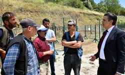 KURBAN BAYRAMI ÖNCESİ İNCELEME