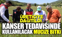 BİLECİK'TE ‘PELEMİR BİTKİSİ' TANITIM GÜNÜ DÜZENLENDİ