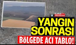 KISMEN KONTROL ALTINA ALINA YANGININ BIRAKTIĞI TAHRİBAT HAVADAN GÖRÜNTÜLENDİ