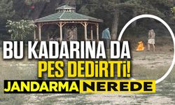 3 GÜNDÜR SÜREN ORMAN YANGINININ ARDINDAN BU GÖRÜNTÜLER 'PES' DEDİRTTİ